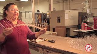 Introduction to Stainless Steel Bird Spikes