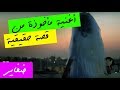       قصة حقيقية  كريم وايبو مع شريف وبيلا ضفاير