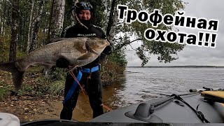 картинка: ТРИ ТРОФЕЯ В ОДИН ДЕНЬ!!! ПОДВОДНАЯ ОХОТА!!! НЫРЯЕМ ОЧЕНЬ ГЛУБОКО!!!