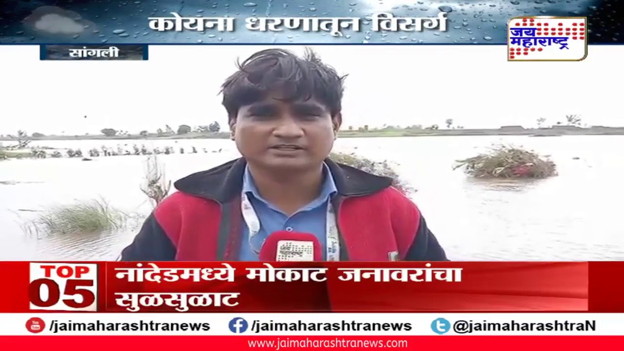 maharashtra news abp sangli: कृष्णा- वारणा नद्यांना पुराचा धोका