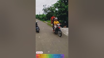BLUSUKAN DI DS.CANGKRING KEC.TEGOWANU KAB.GROBOGAN JATENG.