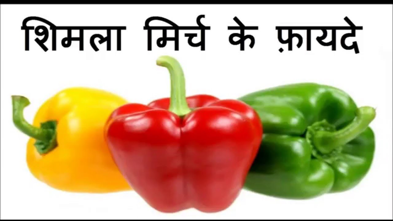 शिमला मिर्च के फ़ायदे Health Benefits of Capsicum/Bell Pepper YouTube