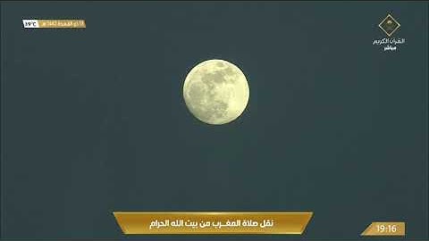 صلاة المغرب الأربعاء 13-11-1442هـ الشيخ ماهر المعيقلي - أواخر سورة لقمان