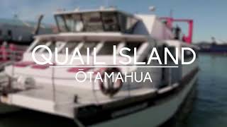 Lyttelton - Quail Island Adventures - Half or Full Day Tour - www.bookme.co.nz