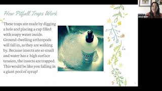 Insect Project - Part 7 - Pitfall Traps