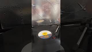 RICHARD DIMPLES FIELDS. DON'T EVER TAKE YOUR LOVE. 1981