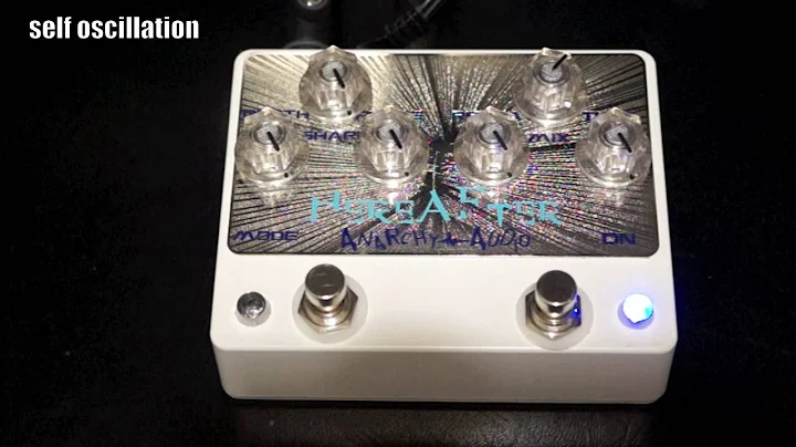 Anarchy Audio HEREAFTER Delay Chorus Vibrato Part 2