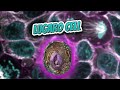Lugaro cell (Everything Human Cells) 💬👁️🕺🔎✅ Mp3 Song