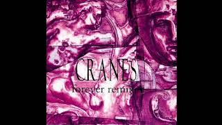 CRANES - clear (ring tailed snorter mix)