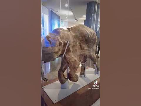 мамонтенок люба Челябинск - YouTube