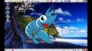 Gambas programming. DirLister v 0.5.6