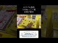 五代目がうみねっこー屋に納品してきました🐦✨