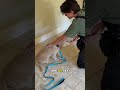 DON'T DO THIS When Puppies Bite