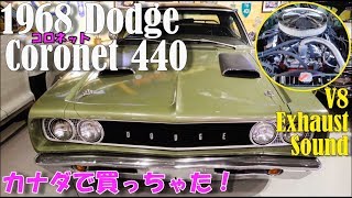 1968 Dodge Coronet 440 V8 爆音 サウンド ダッジ コロネット RTルック 7月下旬日本到着予定