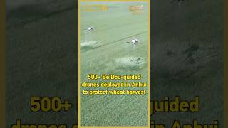 500+ BeiDou-guided drones deployed in Anhui to protect wheat harvest #coolchina