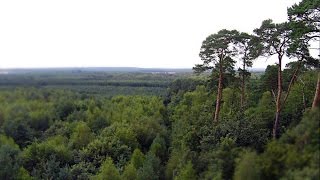 Forêt d'Ermenonville - Bruyères de Frais Vent - Oise - Picardie - Imagerie par Drone screenshot 4