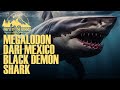 Hiu megalodon berkeliaran di meksiko black demon shark