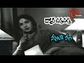 Dr.Chakravarthy Songs - Neevuleka Veena - ANR - Savitri