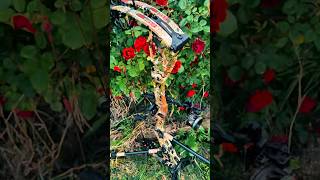 Bowtech SS34 #archery #bowhunting #bowandarrow #coldshot #hunting