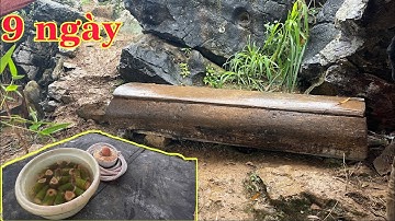 Kinh Hoàng Đám M.a Không Quan Tài Của Người H