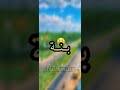 مصدقلي والو سبابي لي حالو