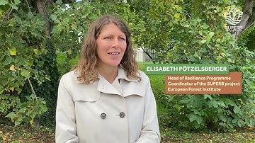 What is prestoration? Interview with Elisabeth Pötzelsberger, coordinator of the SUPERB project