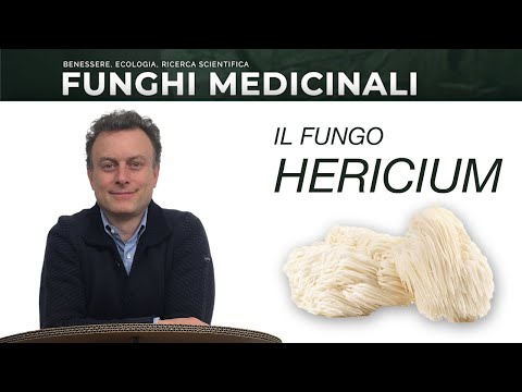 Video: Funghi medicinali magici