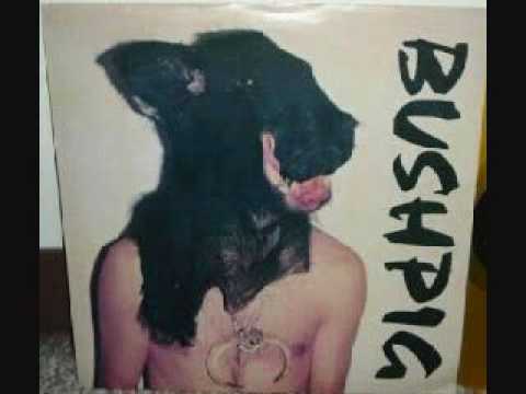 Bush Pig — Bushpig "Speedy's Splitting skin"