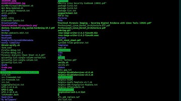 Create A LUKS Encrypted Persistent USB With A Kill Slot + Backup LUKS Headers  -  Using Parrot Linux