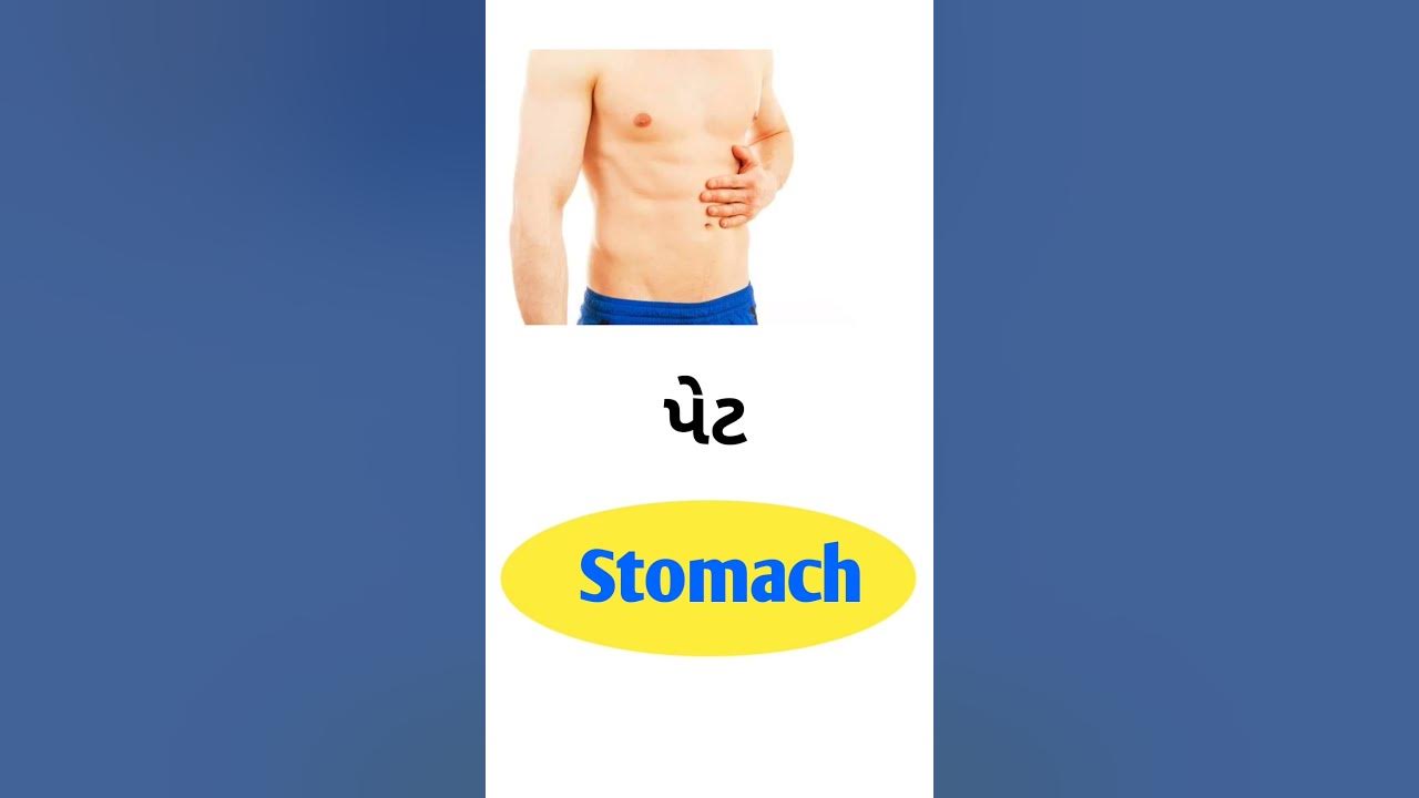 stomach-meaning-in-gujarati-english-gujarati-dictionary-youtube