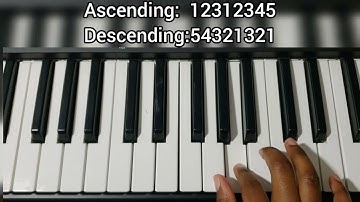D Major Scale Ascending & Descending | 1 Octave | Piano Scales for Beginners