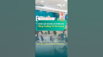 🔥 BID: Lợi Nhuận Tăng 12% & Tín Dụng Bùng Nổ – Cơ Hội Vàng Hay Rủi Ro Ẩn Sau? | FIG Invest