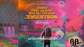 TROY KINGI ~ AZTECHKNOWLEDGEY chords