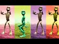 Dame Tu Cosita Funny Dam To Cosita Dance Funny Viral Shortsfeed 