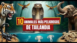 Los 10 Animales Más Peligrosos de Tailandia