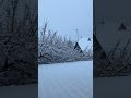 #snow #almaty_city#beautiful#abroad #kazakhstan #mbbs #shortsviral #trending#snowday