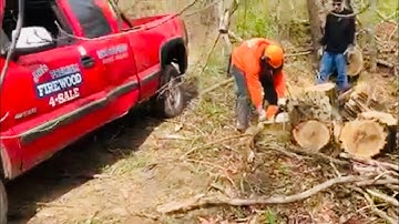 How to cut black locust outdoor boiler firewood using Stihl chainsaws