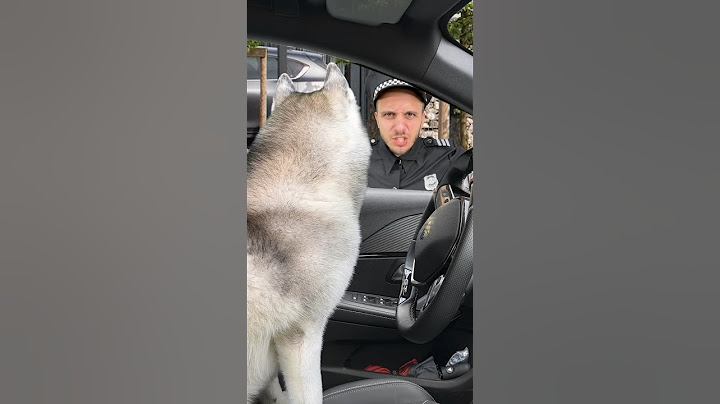 HANNO QUASI ARRESTATO IL MIO CANE😱🐶👮‍♂️ #cane #dog #comedy #comico