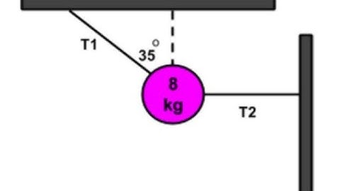 Suspended By Ropes Problem