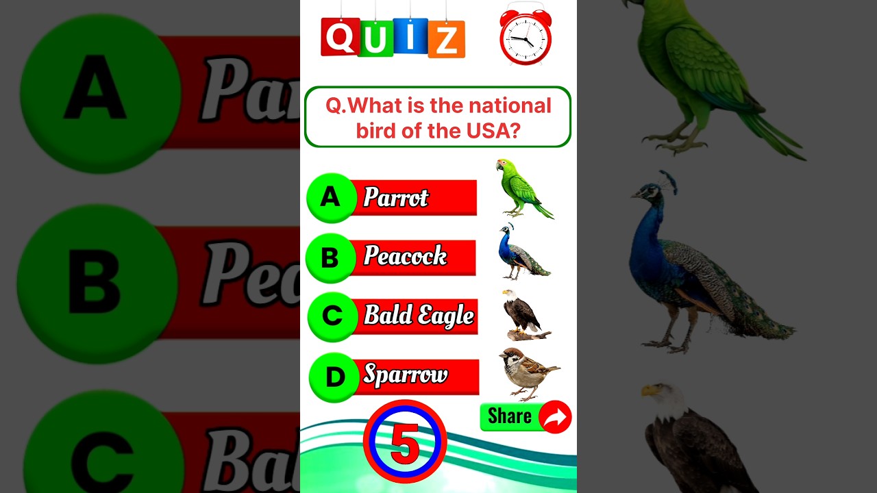 🧠 Kids GK Quiz 13– USA🇺🇸 | Guess in 5 Seconds ⏱️ Know USA Daily 