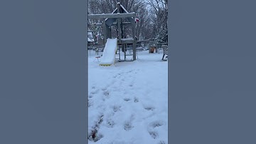 Thumbnail of Let it snow! Let it snow!