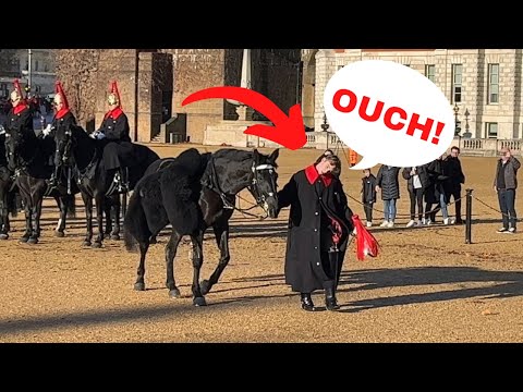 horse-goes-crazy-and-guard-falls-off
