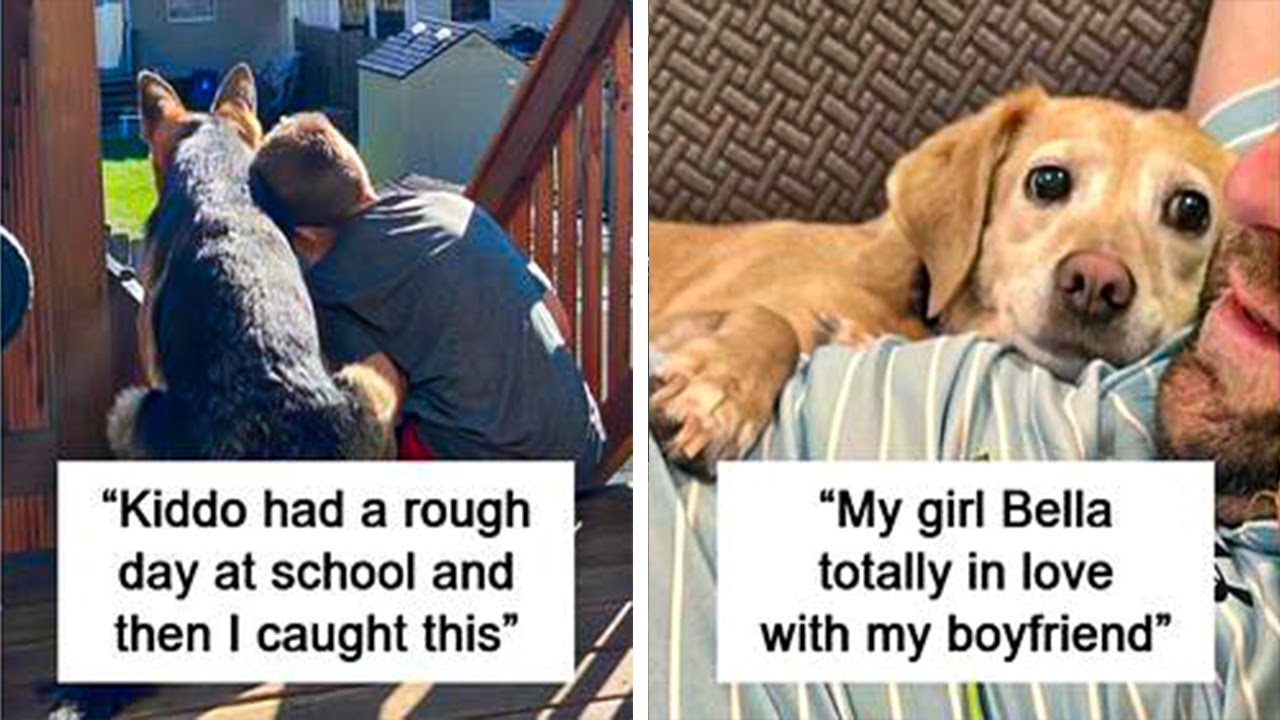 Utterly Cute Animal Photos to Brighten Your Day (New)