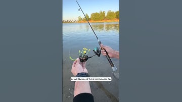 Lưỡi Câu Lăng Xê Thế Hệ Mới – Bám Cá Chắc, Hạn Chế Sẩy Tối Đa! #luoicaulangxe #luoicauchatluong