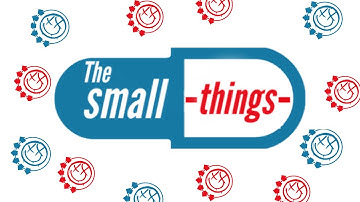 Blink-182 tribute: the small things