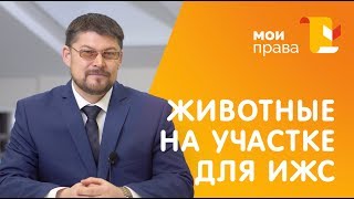 Можно ли разводить животных на участке для ИЖС? / МОИ ПРАВА