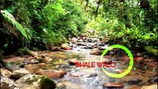 BHALE WALO