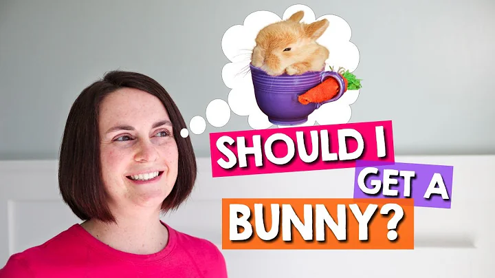 Watch BEFORE Getting a Pet Rabbit!  **Complete Guide**