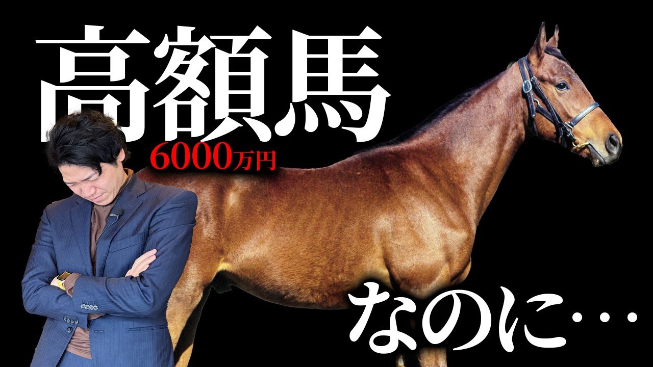 【一口馬主】激安馬が快勝！高額馬の結果は…広尾サラブレッド倶楽部・現3歳馬13頭の答え合わせ