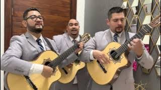 Sin Ti    Trio Tres en Punto